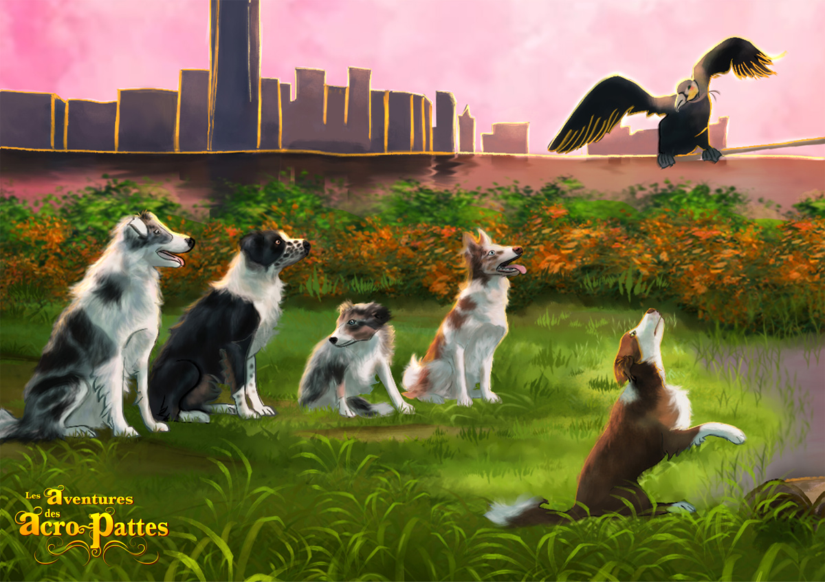 BD les acro-pattes 5 border collies et cormoran